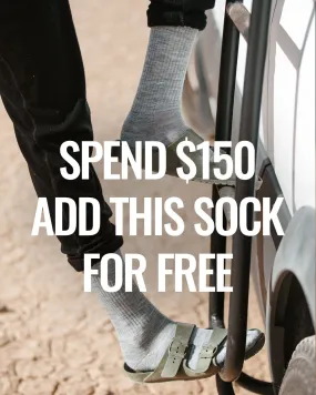 Free Sock Deal. Spend $150. Get this sock free.